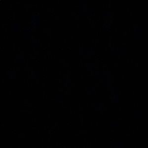 Meet your Posher, Darin